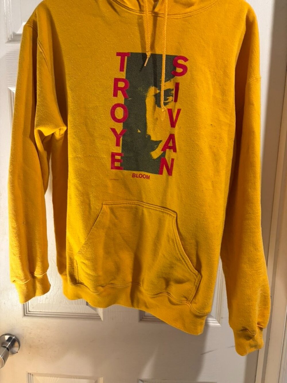 TROYE SIVAN ORIGINALCONCERT HOODIE/m